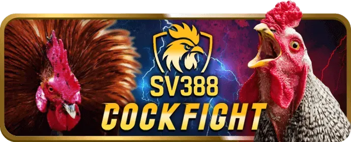 Hình ảnh minh họa các mục đích sử dụng cookie của bet999 login để tối ưu hóa trải nghiệm và bảo mật
